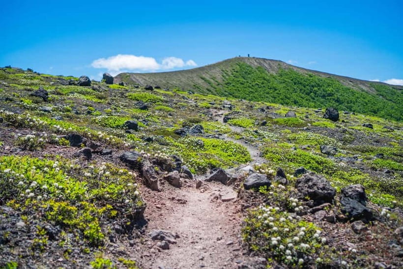 Mt. Tarumae: Active Volcano Lava Dome Hike - Is the $155 price good value?