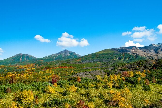Mt. Tokachi Private Trekking Tour with Spectacular mountain view - Key points to know before booking