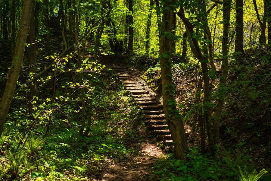 Mt. Usu: Hike to the crater and see the stunning Lake Toya! - Is $161 a fair price?