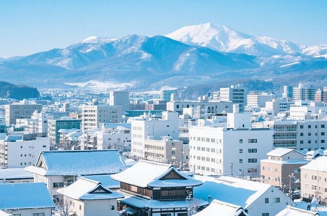 New Chitose Airport(CTS): Private Transfer to/from Niseko/Sapporo - What the $90 price really buys you