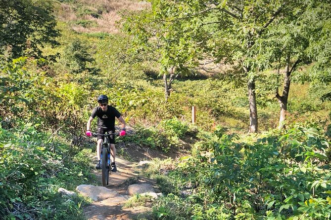 Niseko Mountain Biking Tour - Key points to know before you book