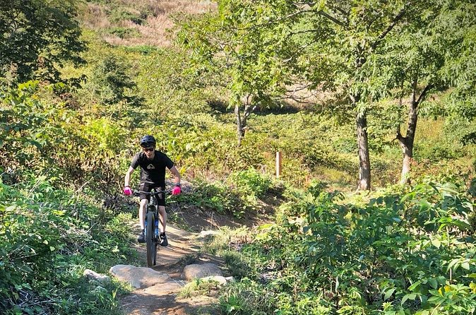 Niseko Mountain Biking Tour - What the English-speaking guide adds