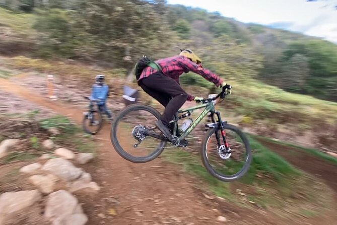 Niseko Mountain Biking Tour - Fitness, comfort, and realistic expectations