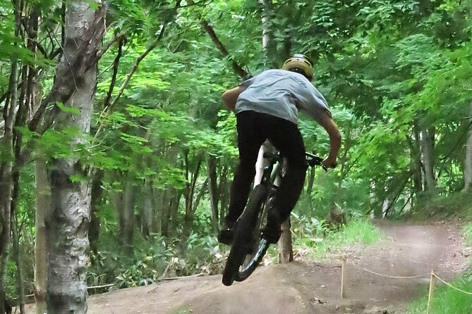 Niseko Mountain Biking Tour - Mt. Yotei provides the big view