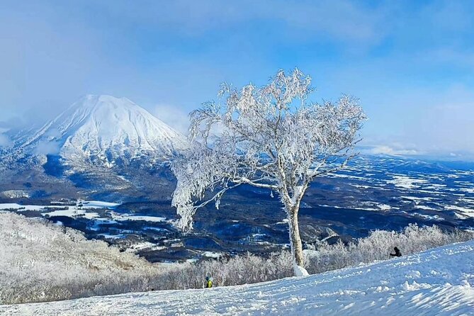Niseko ⇔ New Chitose Airport Private Transfer | Licensed Driver - Choosing the Right Vehicle for Your Luggage