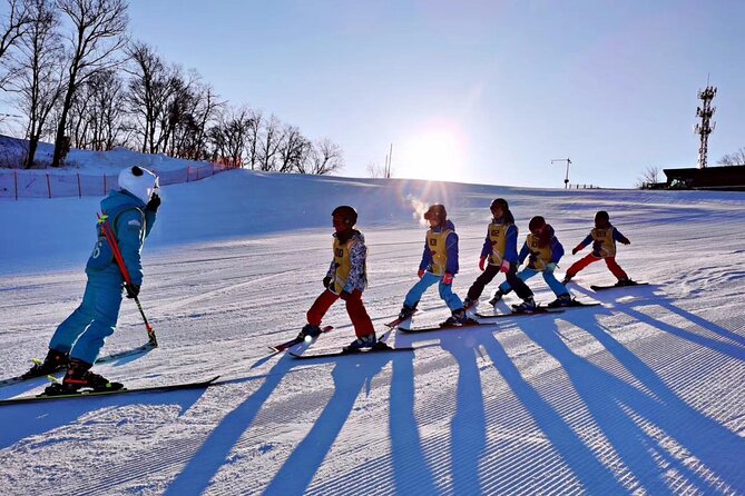 Niseko Private Ski & Snowboard Lesson (Full Day Small Group) - Five hours on snow, with a real lunch break
