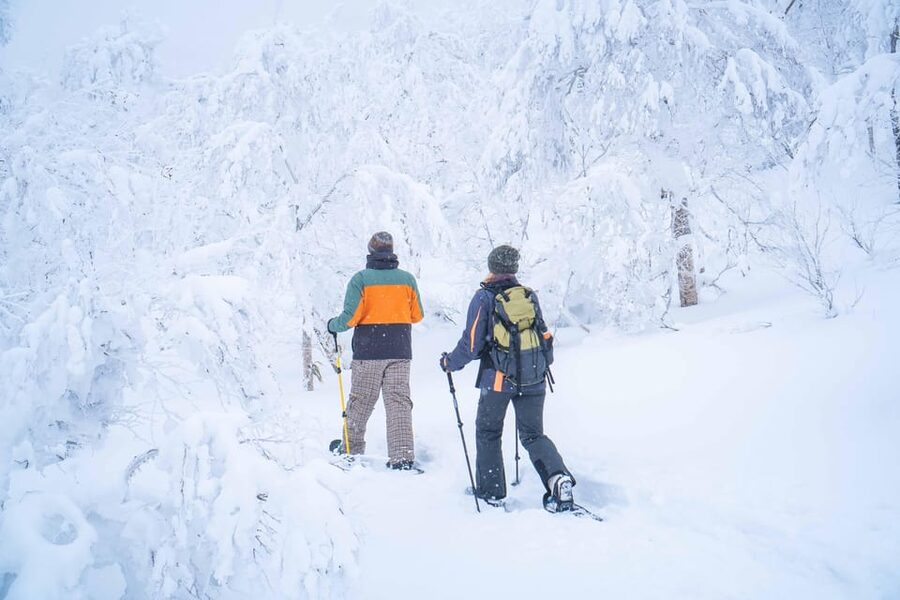 Noboribetsu: Orofure Pass Snowshoeing Tour - Why Orofure Pass Makes a Fine Winter Walk