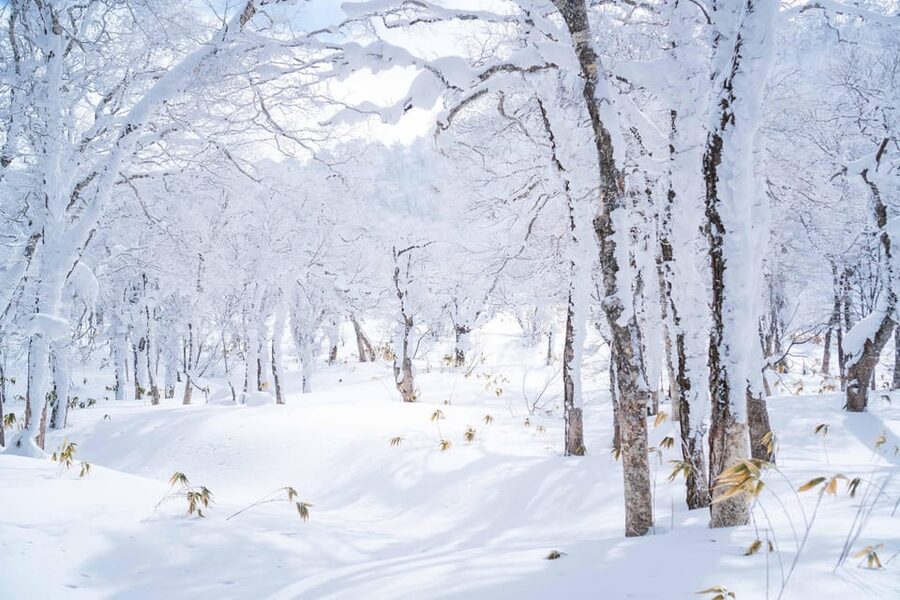 Noboribetsu: Orofure Pass Snowshoeing Tour - Learning to Use Snowshoes With Aidan