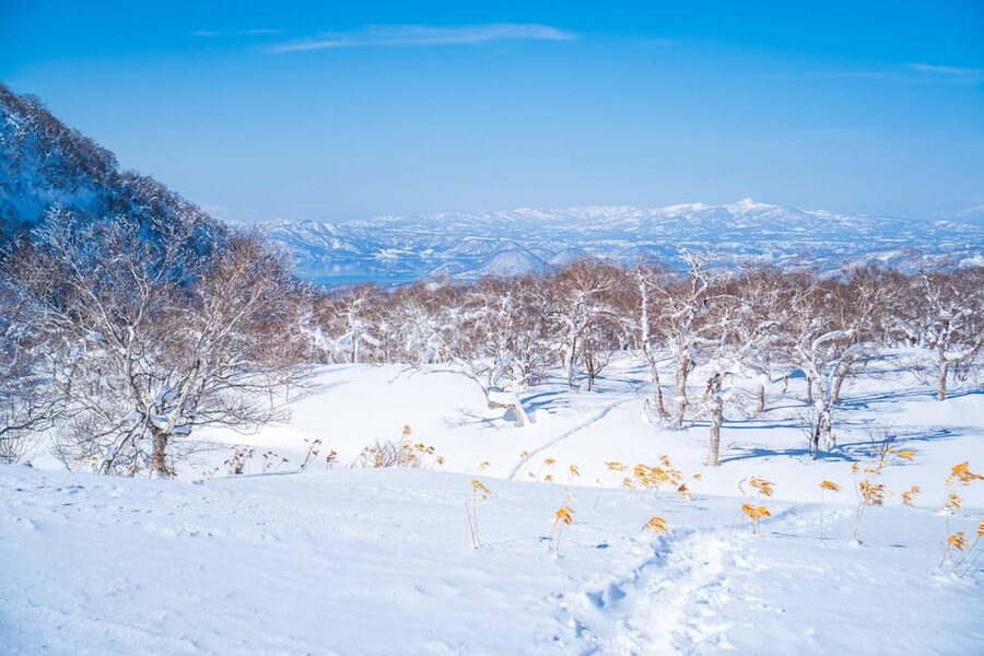 Noboribetsu: Orofure Pass Snowshoeing Tour - Through the Forest and Toward the Ridgeline
