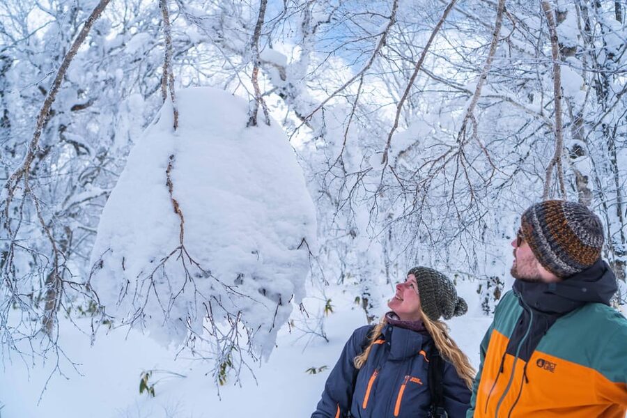 Noboribetsu: Orofure Pass Snowshoeing Tour - Who Should Book This Tour?
