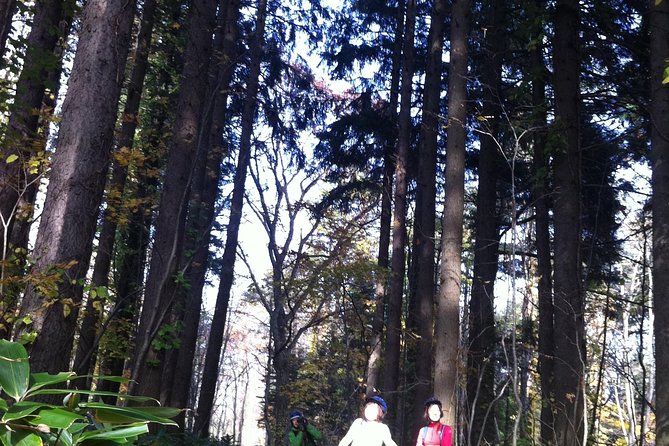 Nopporo Forest Mountain Bike Tour from Sapporo, presenting a retro Cycle cap - Riding the mostly flat Nopporo loop