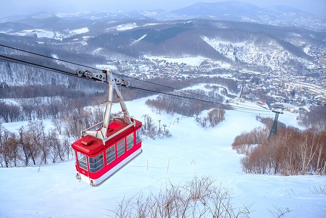 Otaru City Private Day Trip - Who Will Get the Most from This Experience