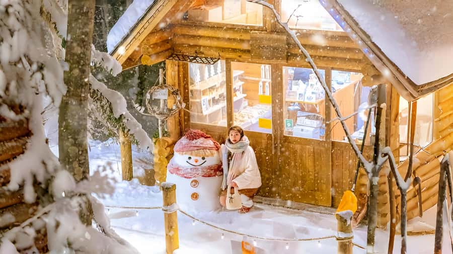 Penguin Fun & Snowmobile : Sapporo Winter (Asahiyama Zoo) - Why this tour works as a Hokkaido sampler