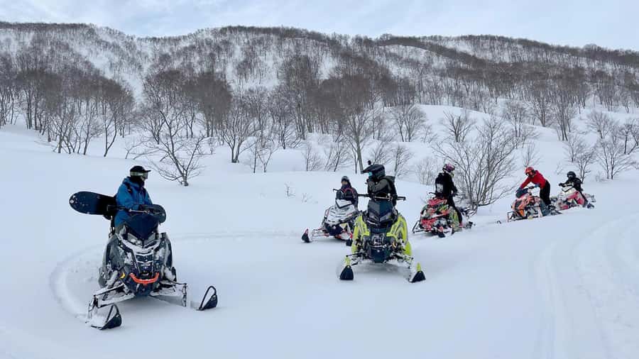 Penguin Fun & Snowmobile : Sapporo Winter (Asahiyama Zoo) - The long ride back to Sapporo
