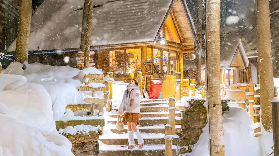 Penguin Fun & Snowmobile : Sapporo Winter (Asahiyama Zoo) - Leaving Sapporo in a heated coach