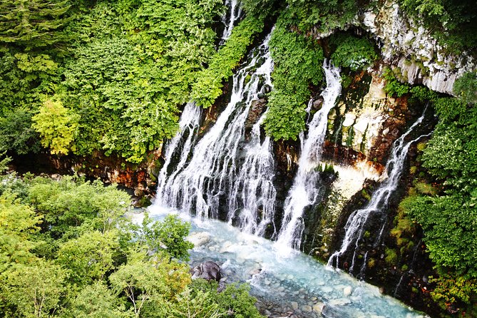 【Private Car】Asahiyama Zoo, Blue Pond, Shirahige Falls, Ningle Terrace (from Sapporo) - Blue Pond in Biei, color with a seasonal warning