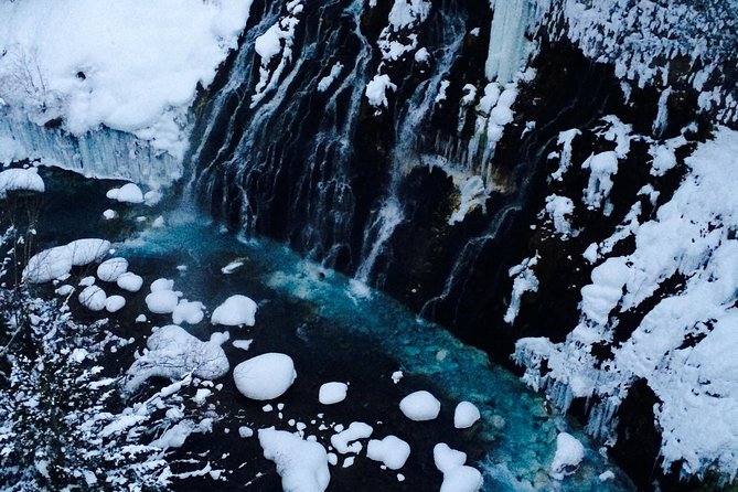 【Private Car】Asahiyama Zoo, Blue Pond, Shirahige Falls, Ningle Terrace (from Sapporo) - Asahiyama Zoo, the day’s main event