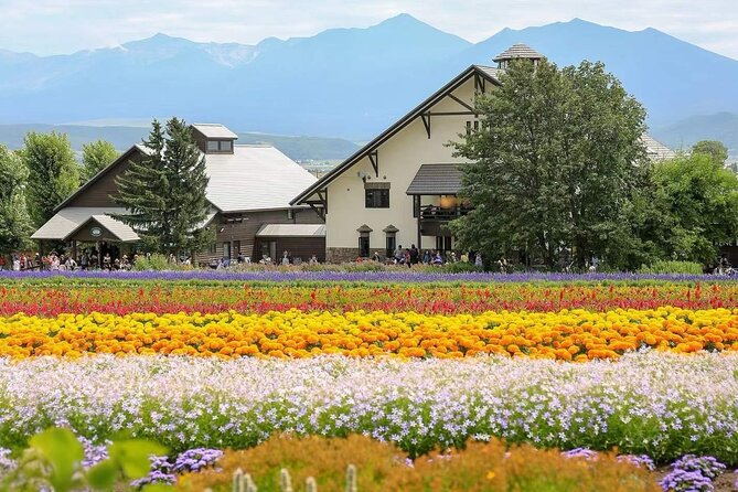 Private Car Tour to Biei Furano and Blue Pond from Sapporo - Patchwork Road: Biei’s farm country by car