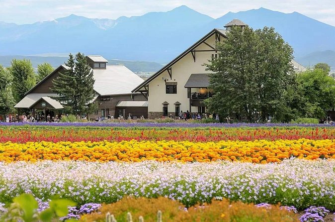Private Car Tour to Biei Furano and Blue Pond from Sapporo - Driver service and communication