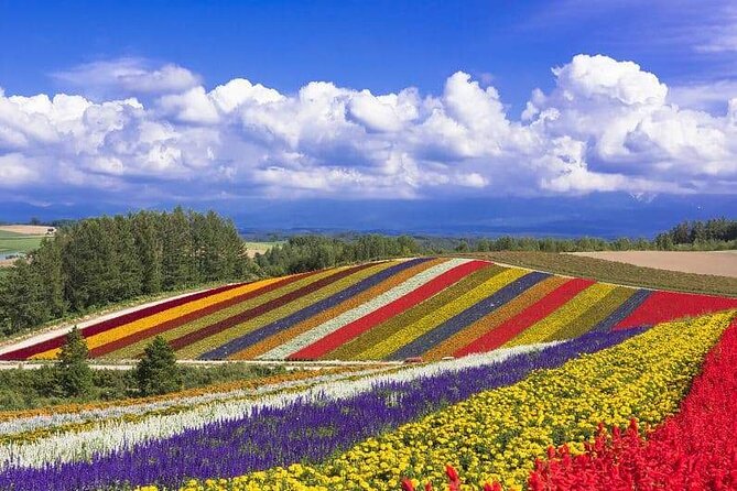 Private Car Tour to Biei Furano and Blue Pond from Sapporo - Farm Tomita: Furano’s signature flower stop
