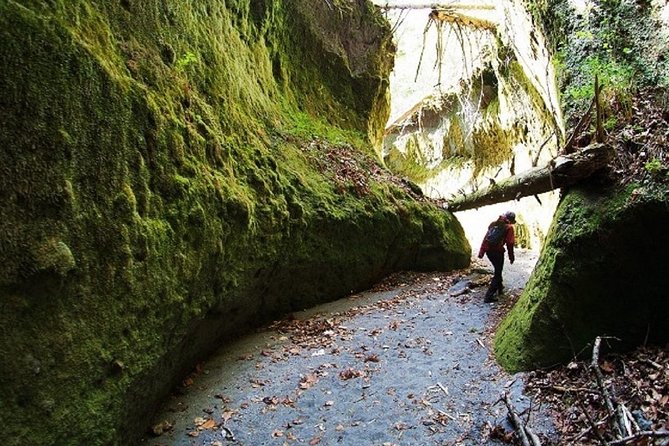Private Day Trip of Lake Shikotsu and Moss Canyon - Key points to know before booking