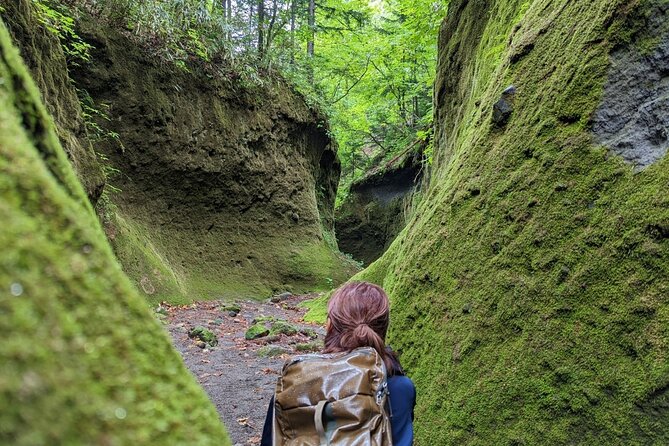 Private Day Trip of Lake Shikotsu and Moss Canyon - Why Lake Shikotsu makes a good Sapporo day trip