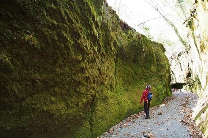 Private Day Trip of Lake Shikotsu and Moss Canyon - What the seven-hour schedule feels like
