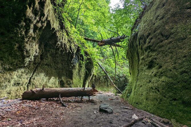Private Day Trip of Lake Shikotsu and Moss Canyon - Private transport is the biggest practical advantage