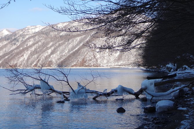 Private Day Trip of Lake Shikotsu and Moss Canyon - Who will enjoy this private nature day