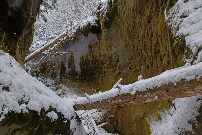 Private Day Trip of Lake Shikotsu and Moss Canyon - What the five-star praise tells you
