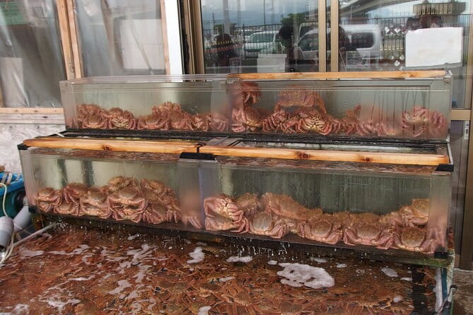 Private Full Day Guided Tour In Hakodate - Hakodate Morning Market: start with seafood and local flavor