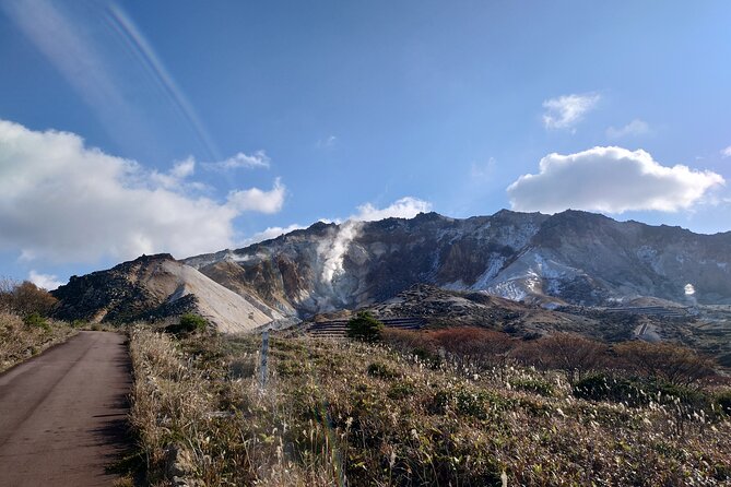 Private Hokkaido Guided 5 Day Tour with Transportation - Vehicle transport and group size