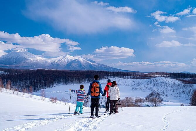 Private Scenic Hills Snowshoeing in Biei - Why Biei looks especially good in winter