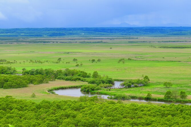 Private Tour with Kushiro Marsh, Tancho, and Local Market - Looking out over Kushiro Marsh
