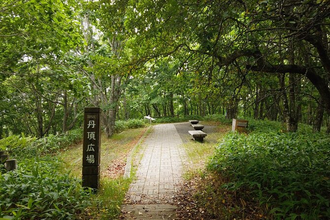 Private Tour with Kushiro Marsh, Tancho, and Local Market - Nusamai Bridge closes the day