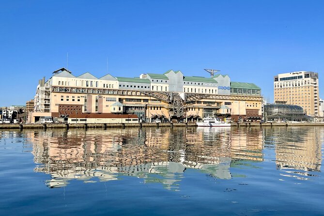 Private Tour with Kushiro Marsh, Tancho, and Local Market - What $850 per person really buys