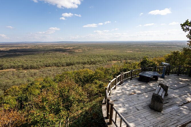 Private Tour with Kushiro Marsh, Tancho, and Local Market - Who will enjoy this private Kushiro day