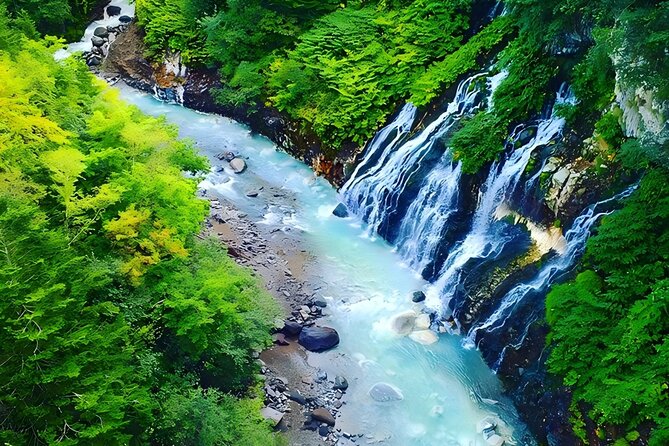 Private Transport in Hokkaido with English Speaking Driver - Choosing between the 6-seat and 9-seat vehicles