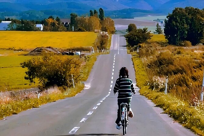 Private Transport in Hokkaido with English Speaking Driver - What is and is not included in the $100 price