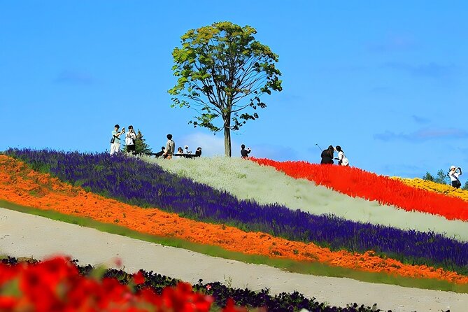 Private Transport in Hokkaido with English Speaking Driver - Making the most of a driver-only sightseeing day