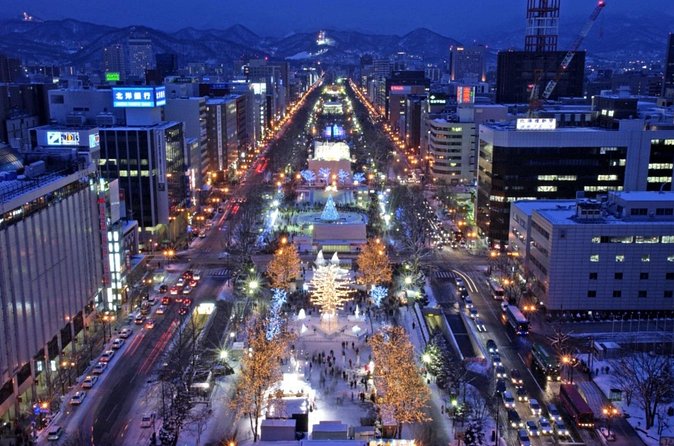 Sakura Trip Premium Chauffeur Service Hokkaido - My practical booking advice