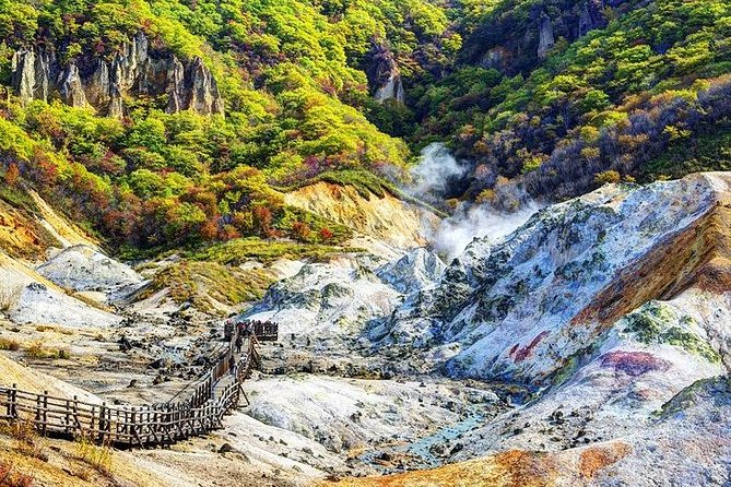 Sapporo 6hr Private Tour with Government Licensed Guide - Mt. Moiwa, Maruyama Park, and the city from above