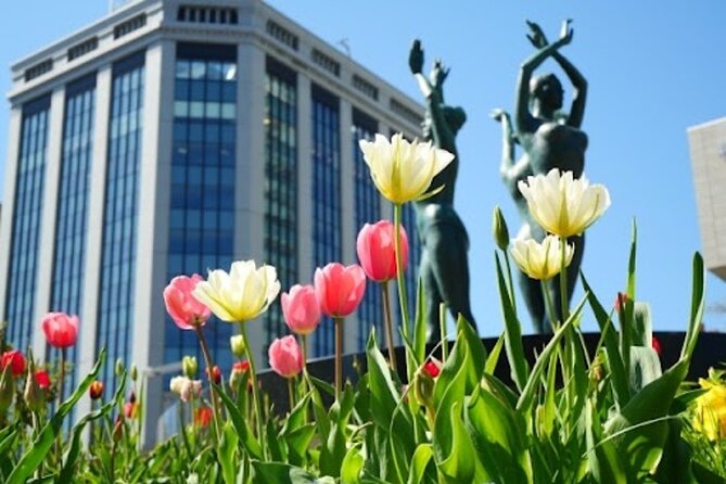 Sapporo Afternoon Walking Tour 2h 30mins - Sapporo TV Tower for the best city overview