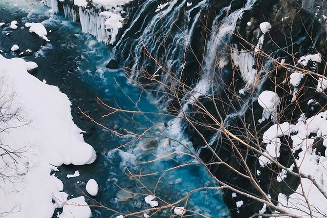 Sapporo: Asahiyama Zoo and Shirahige Falls Trip /w Hotel Pickup - Key points to know before booking