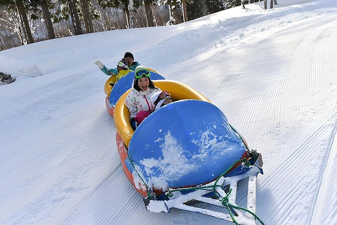 Sapporo: Asahiyama Zoo and Shirahige Falls Trip /w Hotel Pickup - Seven Star Tree and Biei’s open farmland