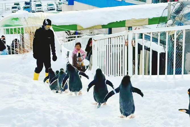 Sapporo: Asahiyama Zoo and Shirahige Falls Trip /w Hotel Pickup - Shirahige Falls and the Blue River