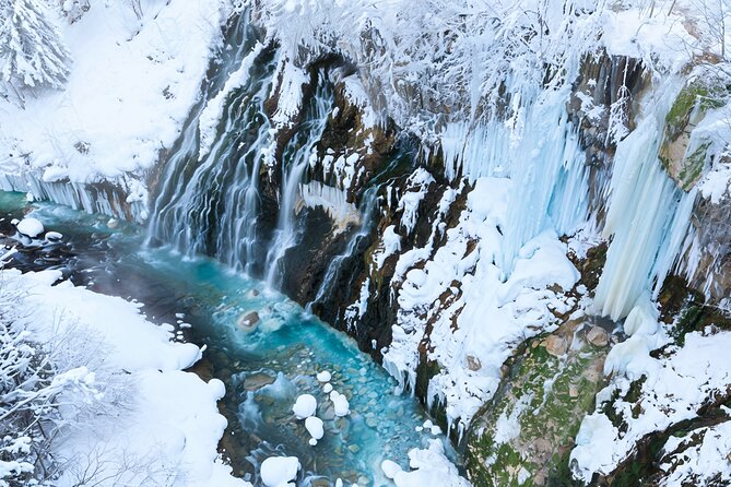 Sapporo: Asahiyama Zoo and Shirahige Falls Trip /w Hotel Pickup - Ningle Terrace after sunset