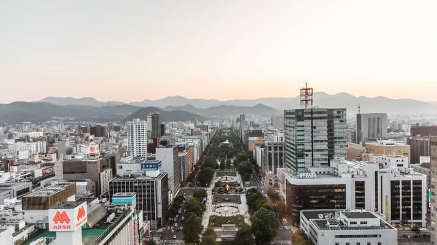 Sapporo: Custom Highlights and Hidden Gems Tour with a Local - How much time should you book?