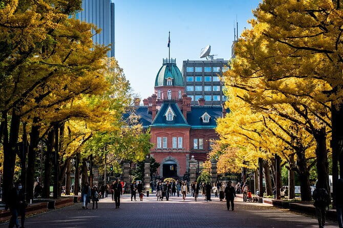 Sapporo Full Day Cultural Tour with National Licensed Guide - Price, inclusions, and the value question