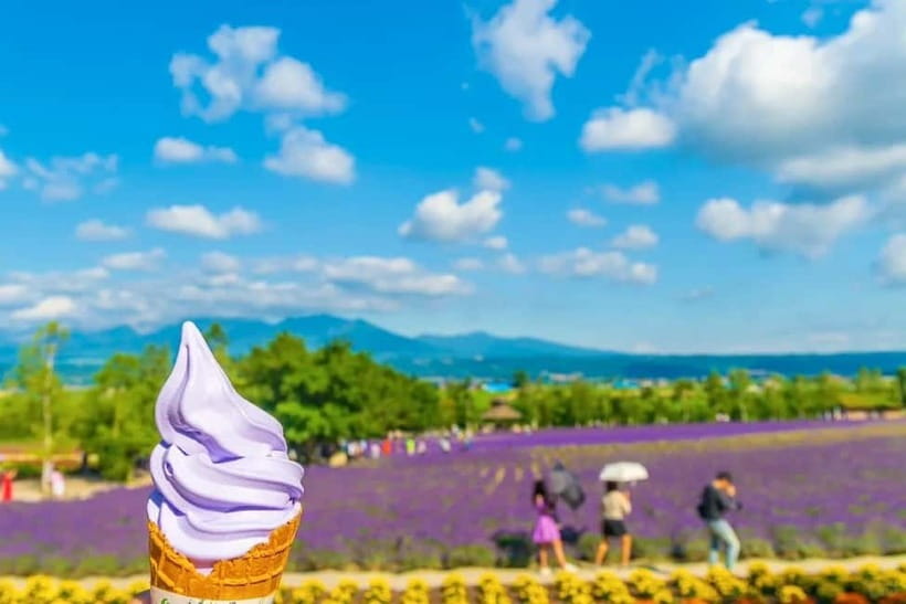 Sapporo: Furano Flower Sea & Biei Blue Pond Tour w/ Pickup - Four Seasons Color Hill from 2:00 PM